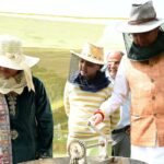 मुख्यमंत्री आवास में शहद निष्कासन पहले चरण में 60 किलोग्राम शहद निकाला…